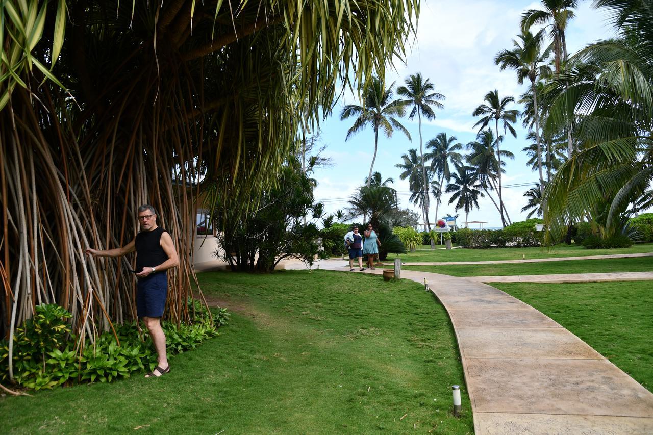 Hotel Alisei Las Terrenas Kültér fotó
